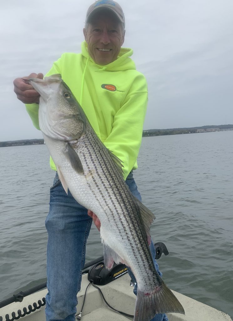 Fall Striped bass on the Susquehanna Flats Maryland